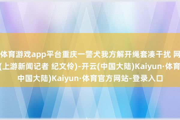 体育游戏app平台重庆一警犬我方解开绳套凑干扰 网友：这就叫专科！ (上游新闻记者 纪文伶)-开云(中国大陆)Kaiyun·体育官方网站-登录入口