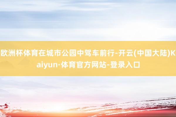 欧洲杯体育在城市公园中驾车前行-开云(中国大陆)Kaiyun·体育官方网站-登录入口