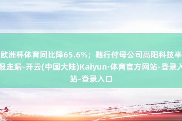 欧洲杯体育同比降65.6%；随行付母公司高阳科技半年报走漏-开云(中国大陆)Kaiyun·体育官方网站-登录入口