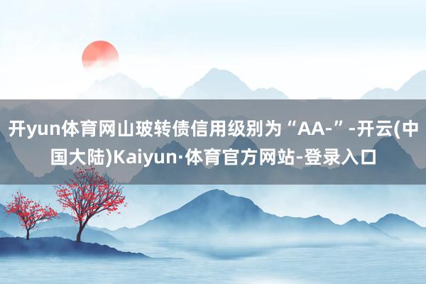 开yun体育网山玻转债信用级别为“AA-”-开云(中国大陆)Kaiyun·体育官方网站-登录入口