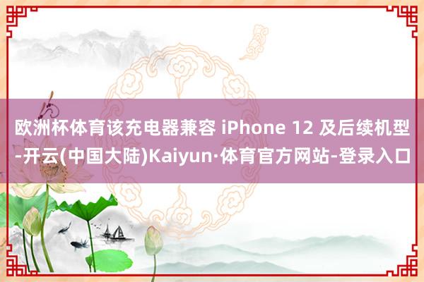 欧洲杯体育该充电器兼容 iPhone 12 及后续机型-开云(中国大陆)Kaiyun·体育官方网站-登录入口